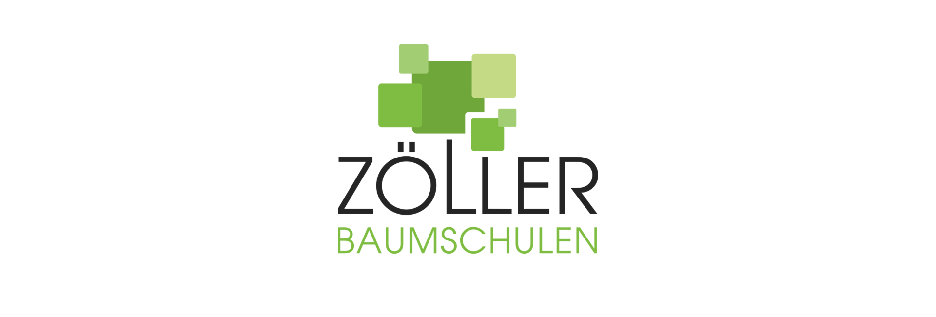 Logo Design - Werbeagentur in Olpe