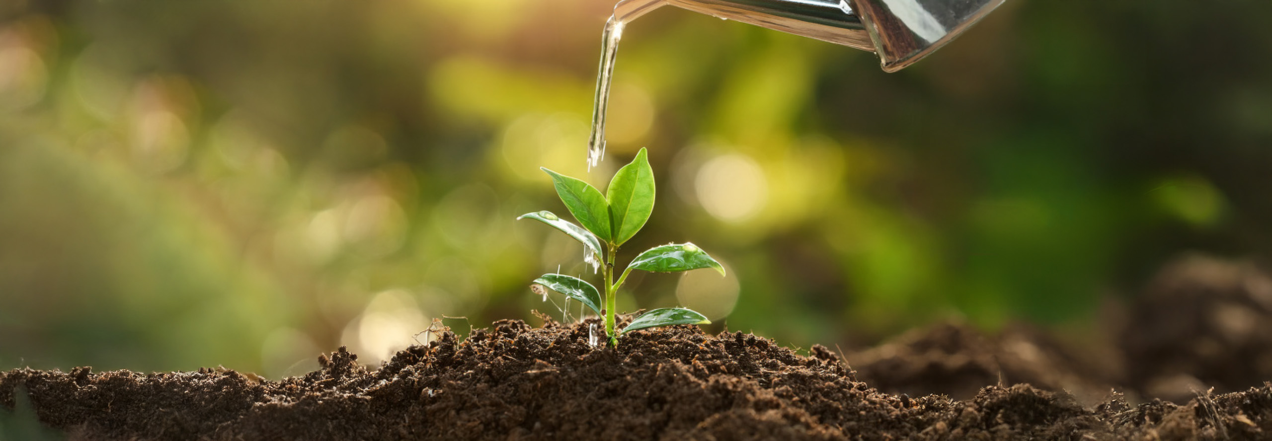 Warum Content Marketing der wichtigste Wachstumstreiber ist